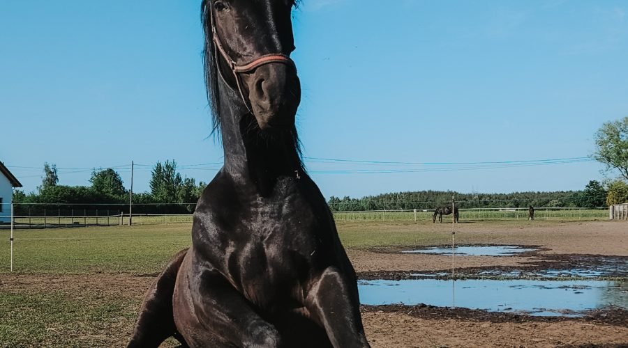 Experience In The Spotlight